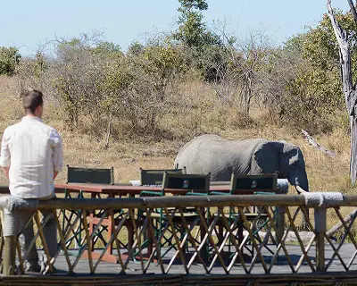 Traveler watching an elephant from a safari lodge deck