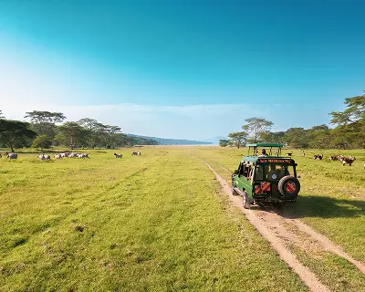 Safari vehicle crossing open African grasslands